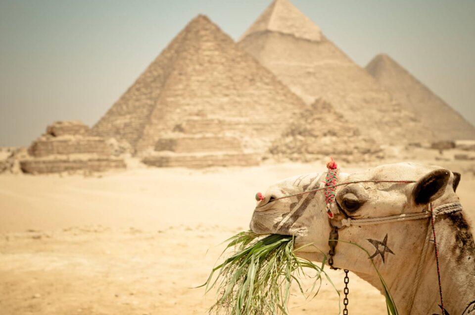 3Pyramids Egypt Tours